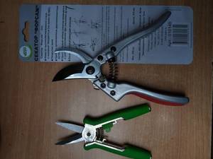 IMG_20201124_182853_3.jpg
