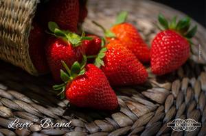 Strawberry_Masia_Leyre-1.thumb.jpg.b53a7253af9362970cb2021b39d23bbb.jpg