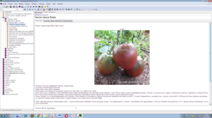 image.thumb.png.8055bf400afee4a466209cf996d9e9ea.png