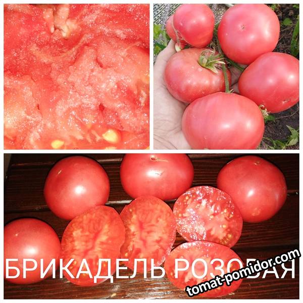 1598155321924.jpg