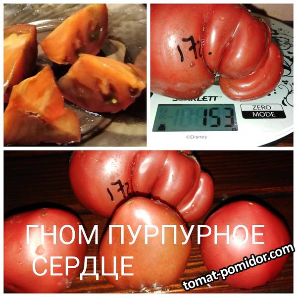 1598552239702.jpg