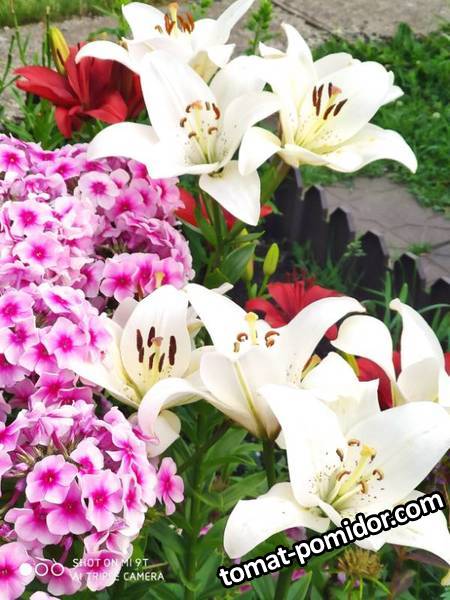 IMG_20200711_161858.jpg.3653b52d1b28deeb5effbe083c085eca