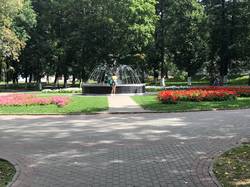 Владимир, парк Липки