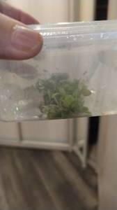 WhatsApp Image 2020-12-18 at 15.10.04.jpeg