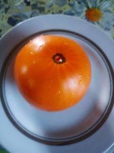 image-2020-12-13 11_39_36.jpg