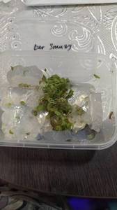 WhatsApp Image 2020-12-18 at 16.09.34.jpeg