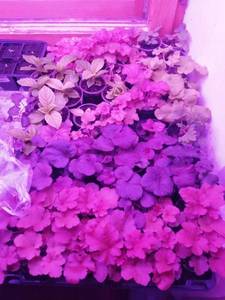 IMG_20210121_192912 (600x800).jpg