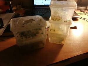 IMG_20201119_215618 (800x600).jpg