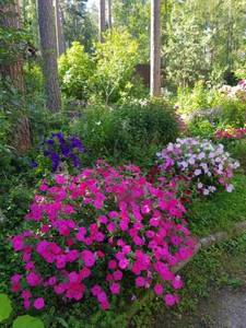 20200816_100325.jpg