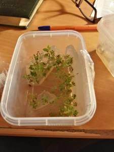 IMG_20201119_215330 (600x800).jpg