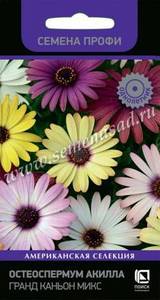 810959265_osteospermum-akilla-grand.thumb.jpg.1ad2246b21af761c8084f7f559e9a67e.jpg