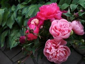 IMG_20200608_184544.jpg