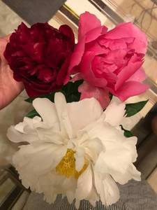 IMG_5212.JPG