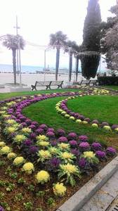 P_20201216_124957.jpg