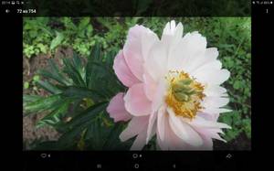 Screenshot_20210119-201425_VK.jpg