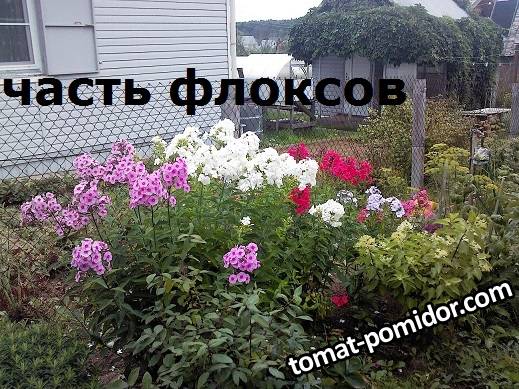 IMG10609.jpg