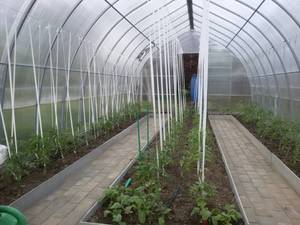 20190523_131934 — копия.jpg