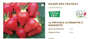 манон дес фрайзер.jpg