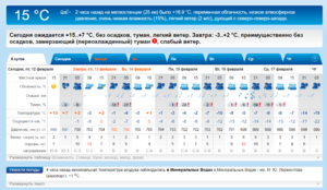 Погода в Джуце 12-02-2021.png