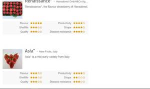 ренесанс показатели.jpg