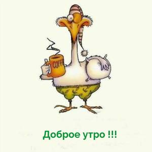 dobrogoutra_ru_5366.jpg