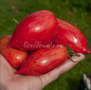image.thumb.png.d660b576160233fdf8cdf3243030e7c6.png
