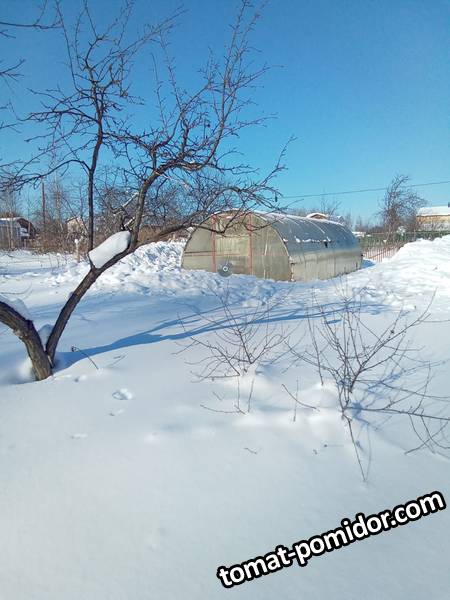 WhatsApp Image 2021-02-22 at 14.57.24.jpeg