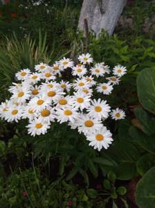 2020-07-19 21-12-43.JPG