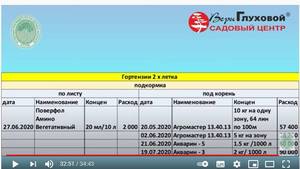 (2) Новинки гортензий 2019-2020 гг. - YouTube - Google Chrome.jpg