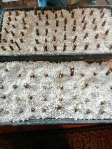 WhatsApp Image 2021-03-25 at 14.48.47 (1).jpeg