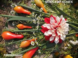 Морской конек.jpg