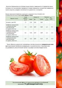 Буклет Нанокремний краснодар сжат (pdf.io)-1.jpg