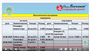 (2) Новинки гортензий 2019-2020 гг.jpg