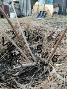 WhatsApp Image 2021-03-25 at 19.17.43.jpg