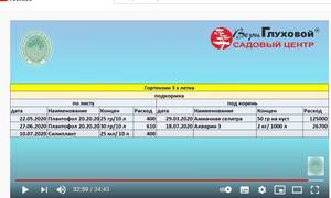 (2) Новинки гортензий 2019-2020 гг. - YouTube - Google.jpg