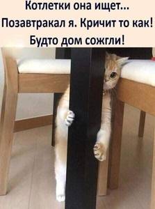 Котлетки.jpg