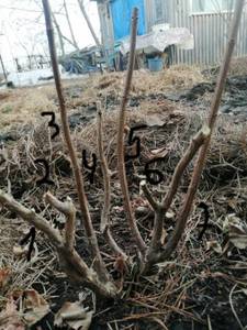 WhatsApp Image 2021-03-25 at 19.17.43 (1).jpg