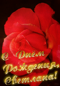 ДР СВЕТЛАНА.gif