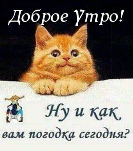 IMG-20210312-WA0002.jpg