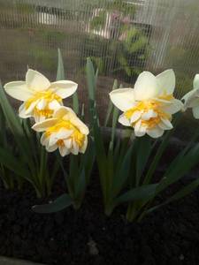 IMG_20200502_155508.jpg
