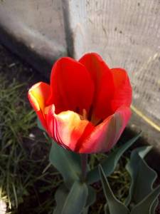 IMG_20200511_094422.jpg