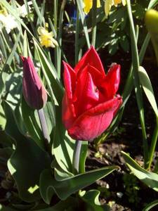 IMG_20200511_094757.jpg