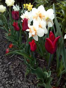 IMG_20200513_185444.jpg