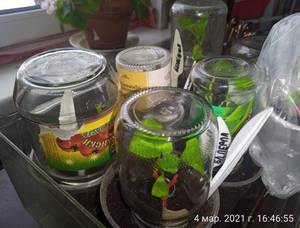 IMG_20210304_164655.jpg