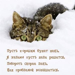 dobrogoutra_ru_4052.jpg