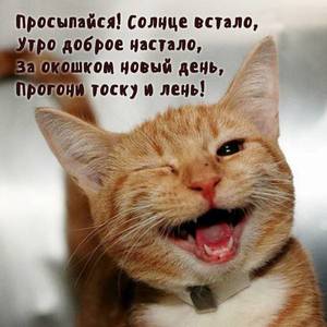 dobrogoutra_ru_5466.jpg