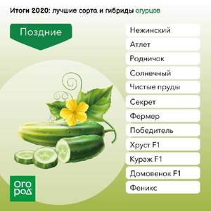 pouy.thumb.jpg.38cd21d773f4fbb600c92cbfd201b48b.jpg