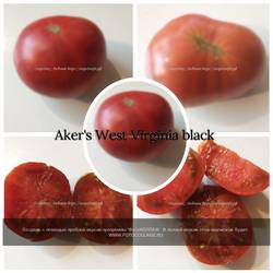 Aker's West Virginia black