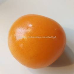 Брендивайн абрикосовый (Brandywine Apricot  ), США