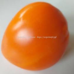 Оранжевая клубника  серцевидная (Orange Strawberry)
